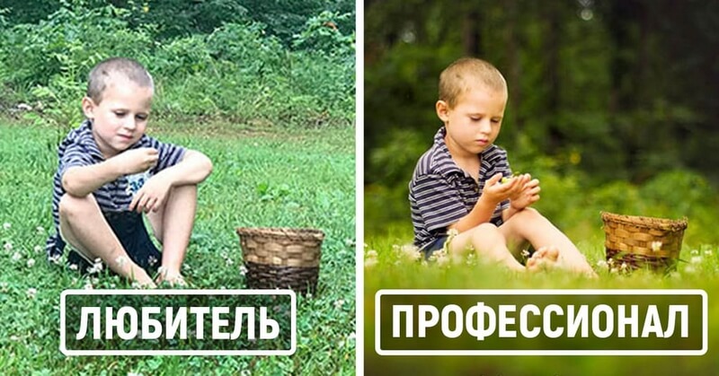 Фото любителя и профессионала сравнение