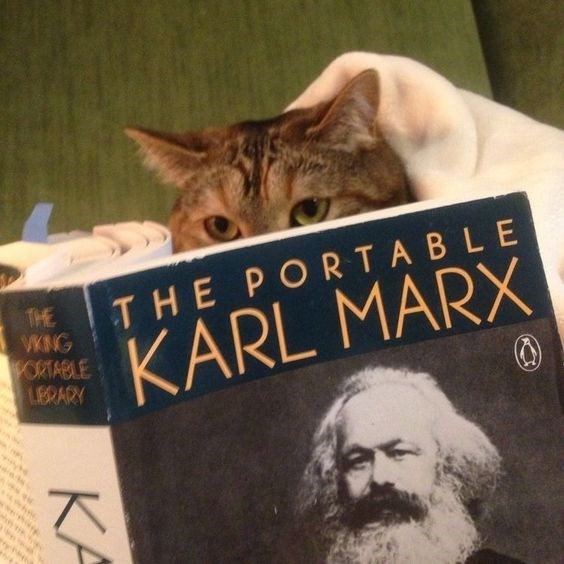 Cat - THE VKNG PORTABLE LIBRARY KA THE PORTABLE KARL MARX Ⓒ
